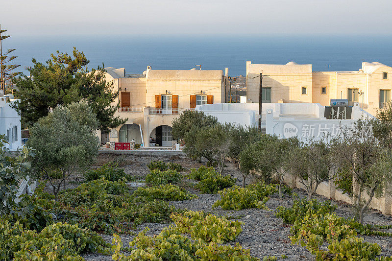 希腊南爱琴海群岛圣托里尼岛Pyrgos Kallistis度假别墅